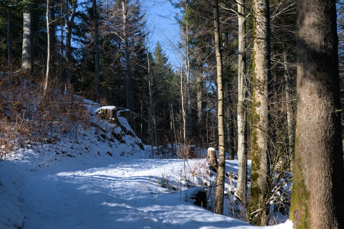 Station de ski au Jura : les 3 stations du massif et ce qui les distingue