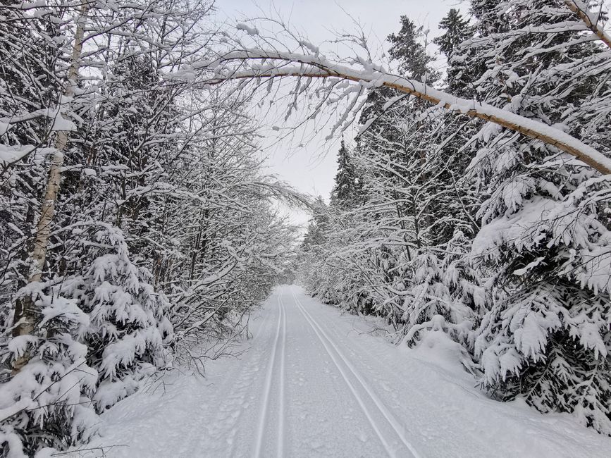 &Eacute;quipement de ski raquettes & ski de fond